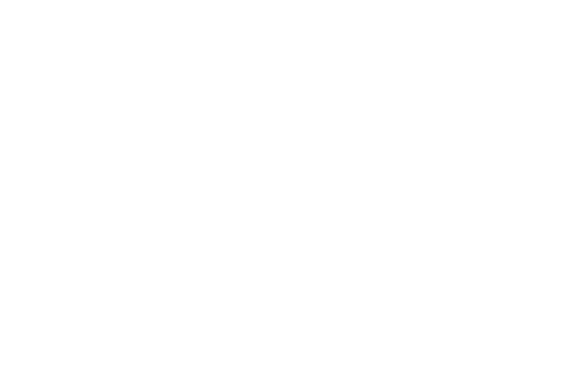 Experience