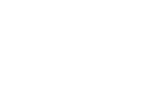 Work style